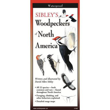 Sibley's Woopeckers of North America Folding Guide