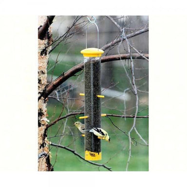Tails Up Finch Feeder