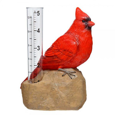 Cardinal Rain Gauge 1