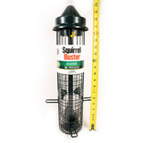Squirrel Buster Bird Feeders