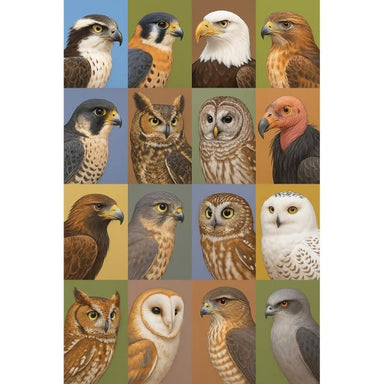 Birds of Prey 1000pc Puzzle