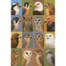 Birds of Prey 1000pc Puzzle