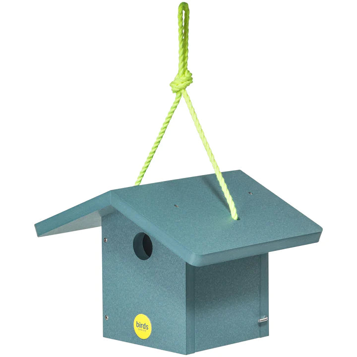 Wren House- Color Pop Collection* - Teal