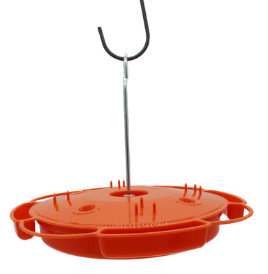 Songbird Essentials Ultimate Oriole Feeder, full product view with ant moat