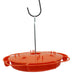 Ultimate Oriole Feeder