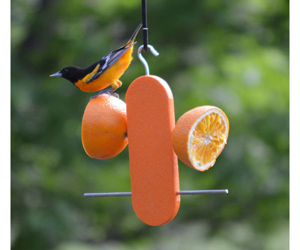Recycled Plastic Double Orange Feeder