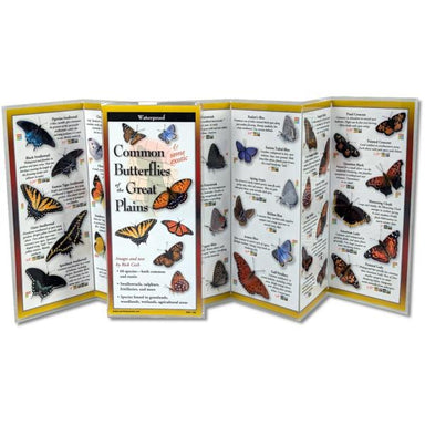 Sibley's Common Butterflies of Great Plains Folding Guide