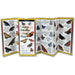 Sibley's Common Butterflies of Great Plains Folding Guide