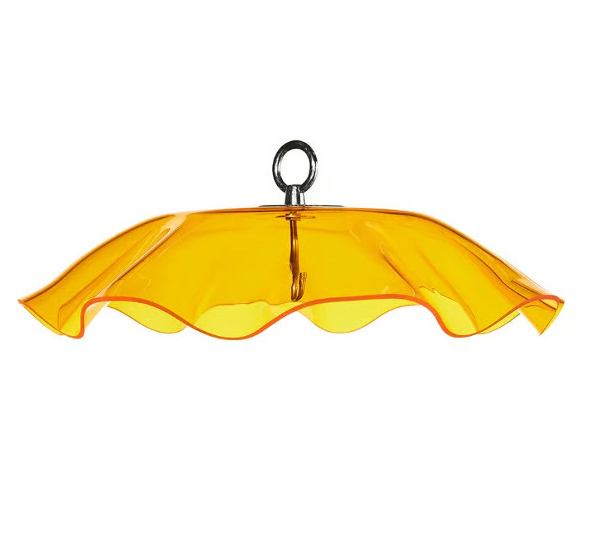 Scalloped Weather Guard - Yellow