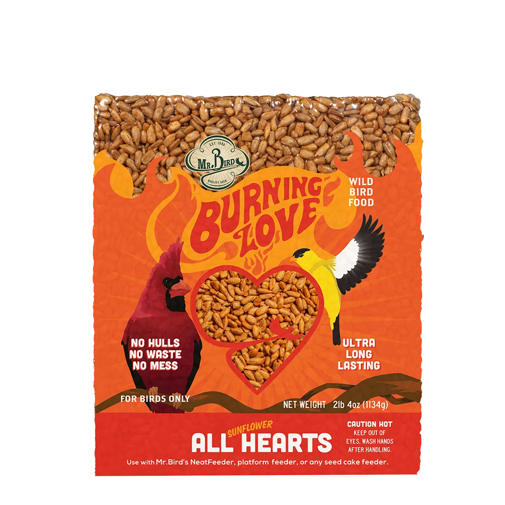 Burning Love Seed Cake - Large Cake