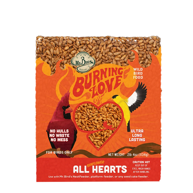 Burning Love Seed Cake - Large Cake