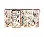 Sibley's Raptors Eastern North America Folding Guide