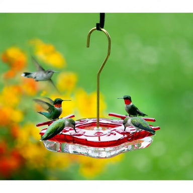 HummZinger Square 8oz Hummingbird Feeder