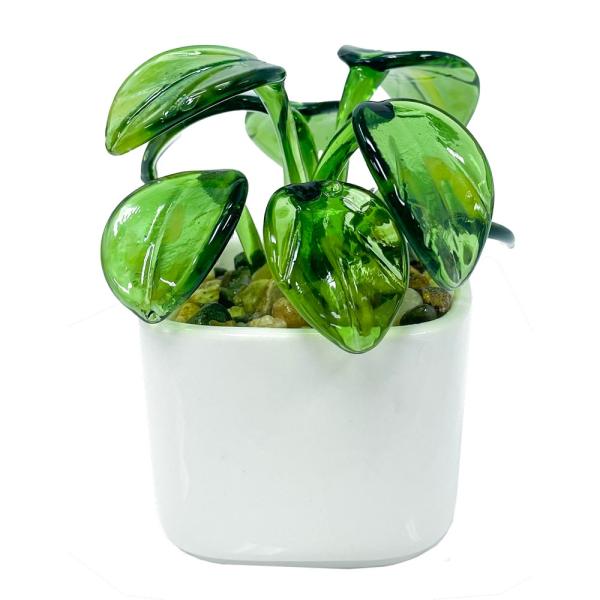 Milano Art Glass - Pilea Plant