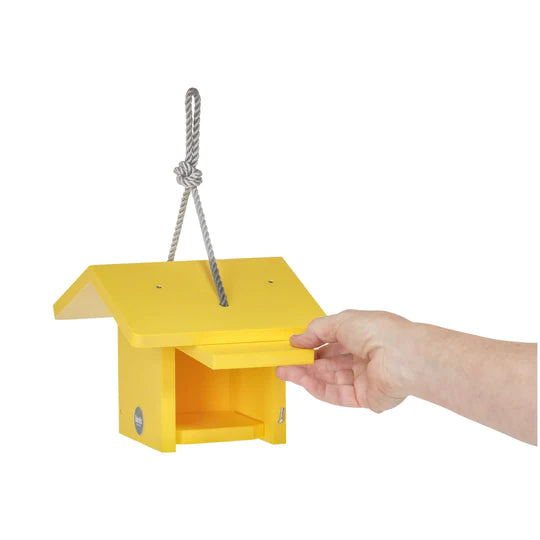 Wren House- Color Pop Collection* - Yellow