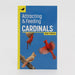 Attracting & Feeding Cardinals