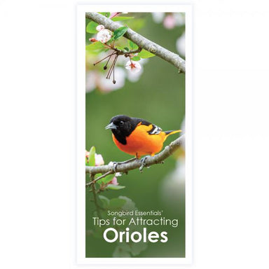 Songbird Essentials' Tips for Attracting Orioles Brochure