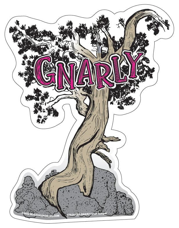 Advice for Life Die Cut Sticker - Gnarly
