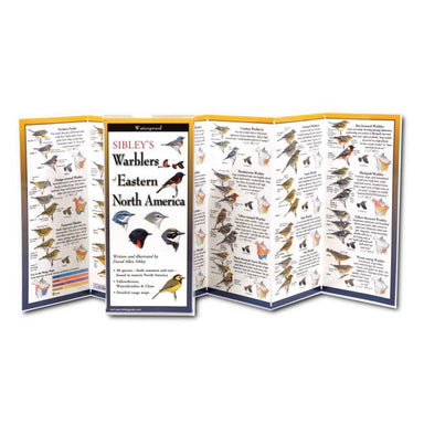 Sibley's Warblers of Eastern North America Folding Guide