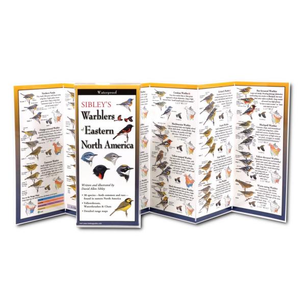 Sibley's Warblers of Eastern North America Folding Guide