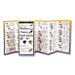 Sibley's Warblers of Eastern North America Folding Guide