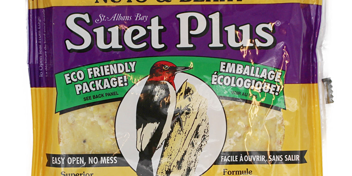 Nuts & Berry Blend Suet Cake — For the Wild Birds