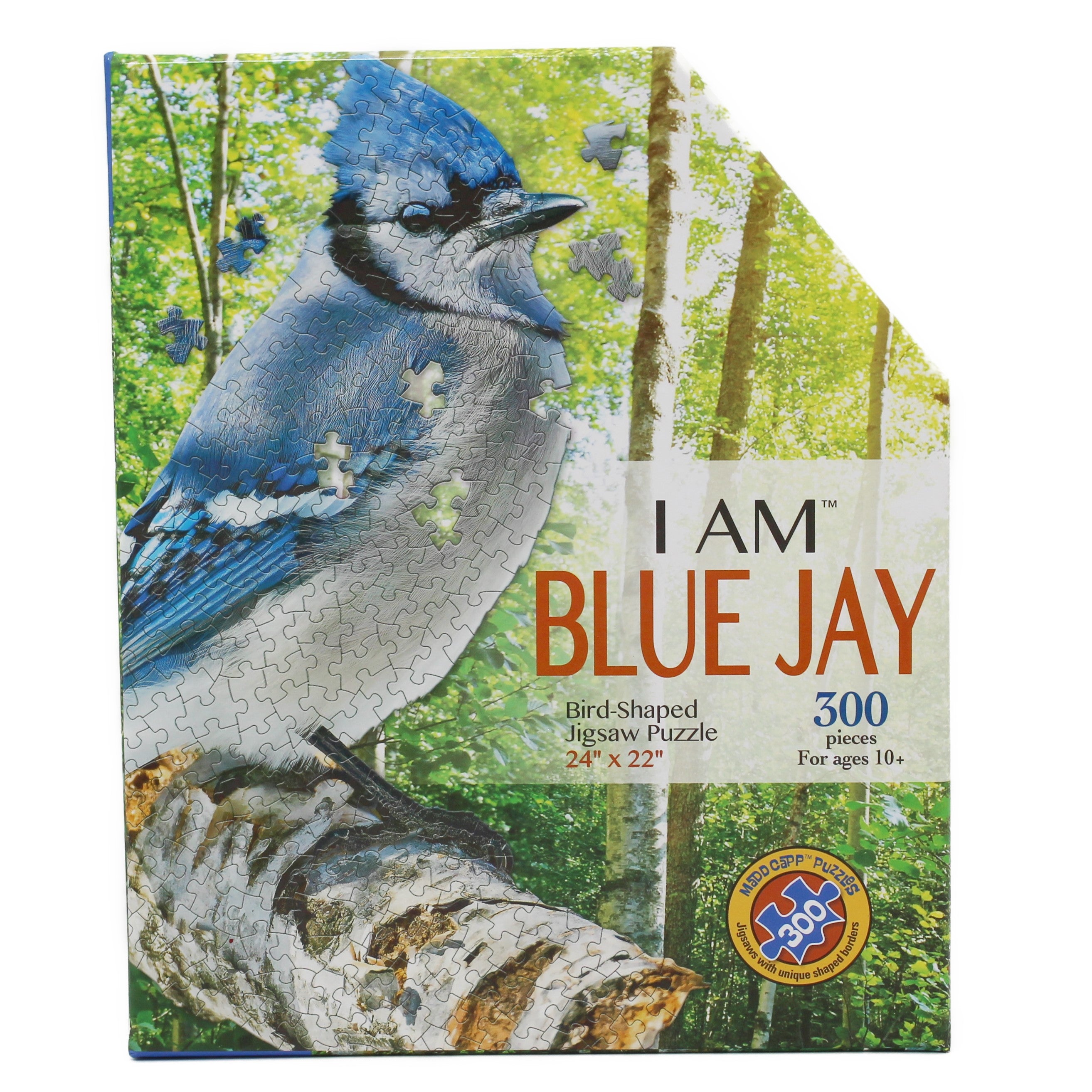 I Am Blue Jay - 300 pcs