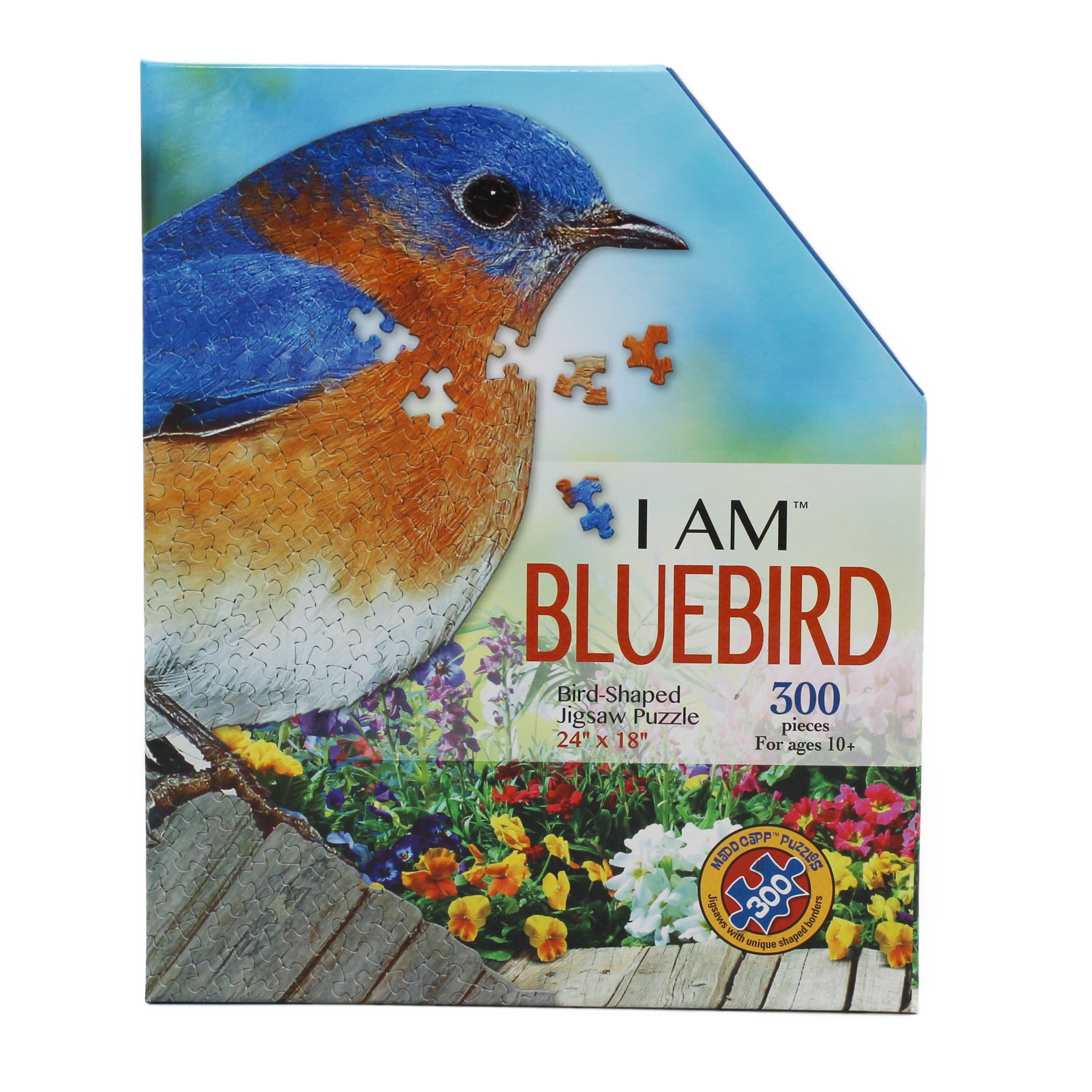I Am Bluebird - 300 pcs